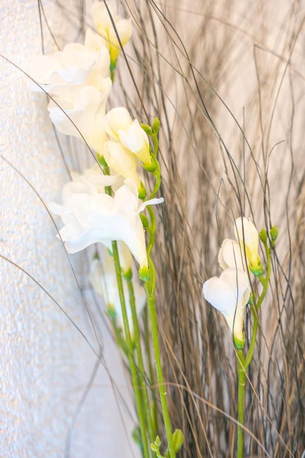 #1 Modernes Zimmer Mit Pool Und Garten Memmingen Ngoại thất bức ảnh